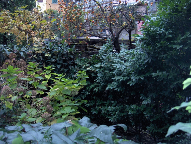 APPARTAMENTO CON GIARDINO